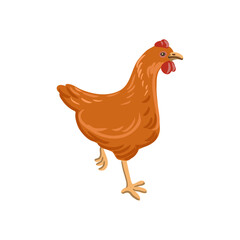 vector drawing chicken bird, hen isolated at white background, hand drawn illustration