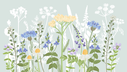 field flowers, vector drawing wild plants at blue sky background, floral composition, hand drawn botanical illustration - 780219898