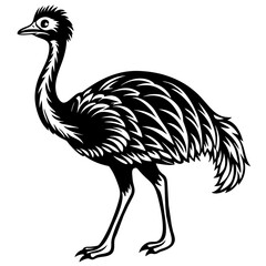 illustration of an ostrich,black emu silhouette vector illustration,icon,svg,bird characters,Holiday t shirt,Hand drawn trendy Vector illustration,emu on a white background