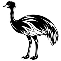 illustration of an ostrich,black emu silhouette vector illustration,icon,svg,bird characters,Holiday t shirt,Hand drawn trendy Vector illustration,emu on a white background