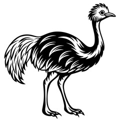 illustration of an ostrich,black emu silhouette vector illustration,icon,svg,bird characters,Holiday t shirt,Hand drawn trendy Vector illustration,emu on a white background