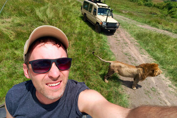 guy takes a selfie with a wild lion during an African safari in nature. A man is photographed with wild animals in Kenya.