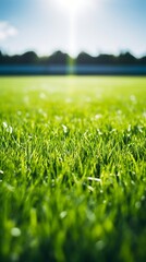 Soccer field with green grass and bright lights