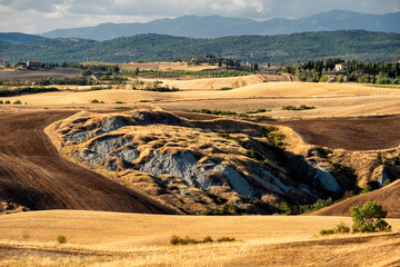 Naklejka premium Summer landscape near Asciano