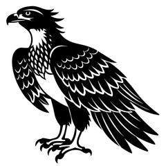 eagle silhouette vector illustration svg file
