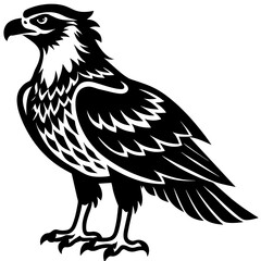 eagle silhouette vector illustration svg file
