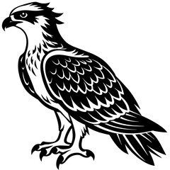 Fototapeta premium eagle silhouette vector illustration svg file