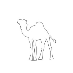 camel in the vector