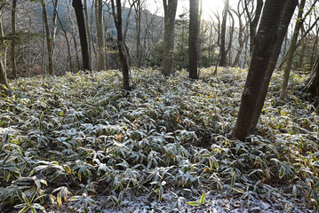 Climbing Mt. Yamizo, Ibaraki, Japan