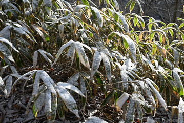 Climbing Mt. Yamizo, Ibaraki, Japan