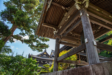 Hase-dera temple (the Hase-kannon) is one of the Buddhist temples in the city of Kamakura