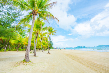 Coconut forest beach scenery at Coconut Dream Corridor in Sanya, Hainan, China