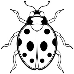 Lady Bug  Insects  Line Art Vector