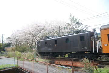 大井川鉄道の蒸気・電気機関車