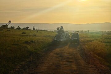 An SUV car for safari on the road in the African savannah. Tourists watch the animals in the car. game drive in early morning at dawn. - obrazy, fototapety, plakaty