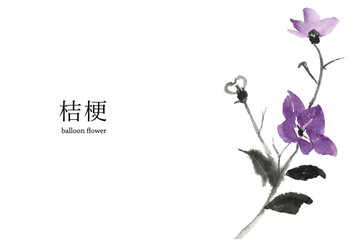 美しい桔梗の花の水彩風ベクターイラスト
