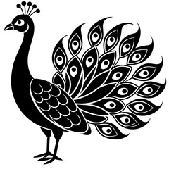 peacock illustration,black peacock silhouette vector illustration,icon,svg,bird characters,Holiday t shirt,Hand drawn trendy Vector illustration,peacock on a white background