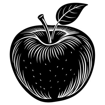 recommend clip art: delicious apple silhouette vector illustration 