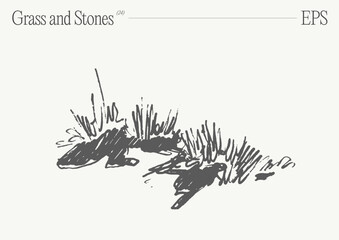 Hand drawn vector illustration of grass and rocks on blank backdrop. Isolated sketch. - 780250855