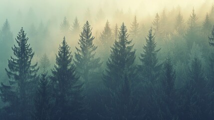 The early morning mist weaving through a fir forest, AI Generative