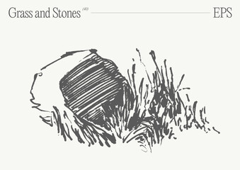 Hand drawn vector illustration of grass and rocks on blank backdrop. Isolated sketch. - 780251445