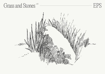 Hand drawn vector illustration of grass and rocks on blank backdrop. Isolated sketch. - 780252020