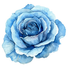 blue rose, Watercolor Wonders: A Medley of Rose Bouquets - obrazy, fototapety, plakaty