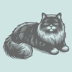 Cat Sketch Illustration