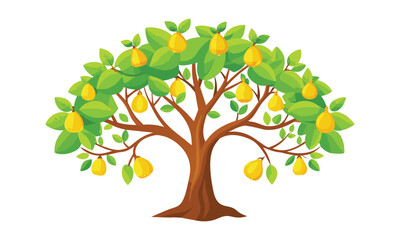  Pear tree outline isolated flat vector illustration on white background