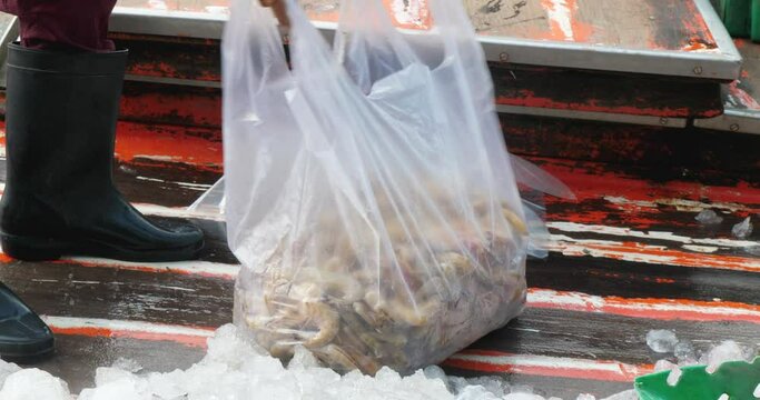 Close up of a fisher filling a clear plastic bag with shrimp on the deck of a fishing boat.