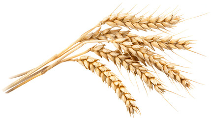 ear of wheat , generative ai