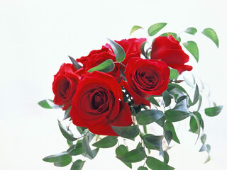 A bunch of red roses