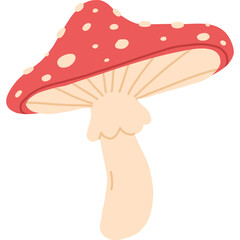 red mushroom hand draw