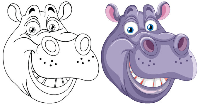 Vector illustration of a hippopotamus, colored and line art
