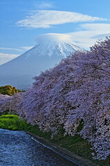 "Spring has sprung! and it always makes me smile!