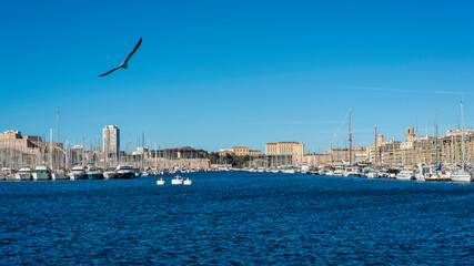 Fototapeta na wymiar Le Vieux-Port de Marseille