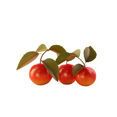 Obraz premium Three cherries hanging from a leafy branch