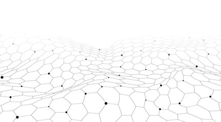 Hexagon geometric mesh lines on a white background. Wave with connected dots and lines.Geometric abstract background with simple Wave elements.
