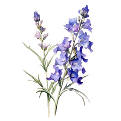 Beautiful watercolor blue larkspur flower isolated on white background. A violet delphinium PNG illustration pattern design for card, home decor or wedding invitation