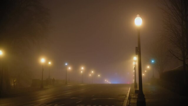 Empty road of fog night time and street lights. Slow motion