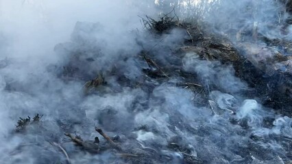 horizontal video of smoke rising from a pile of smoldering debris or leaves, suggesting a controlled burn or natural occurrence. The smoke appears thick and diffused, covering the scene and partially - Powered by Adobe