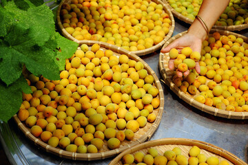 Group of basket fresh yellow ripe apricot, a tropical fruit at Vietnam North rich vitamin, nature...