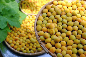 Group of basket fresh yellow ripe apricot, a tropical fruit at Vietnam North rich vitamin, nature medicine and good for health