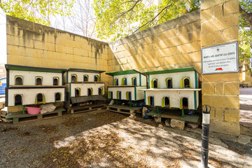 a shelter for cats in Valletta, Malta