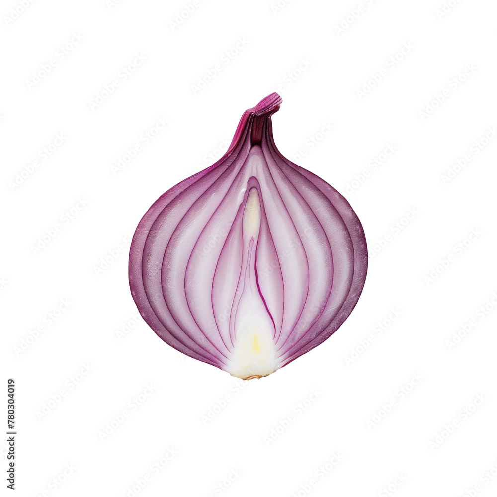 Poster sliced onion on transparent background