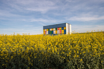 Beehive trailer in blooming rapeseed field in springtime sunset - 780304431