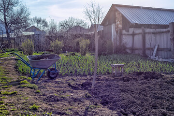 Morning spring time in the village garden in the backyard. The pitchfork is stuck into the soil that has been partially dug up and prepared for planting vegetables. Plantings and household