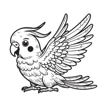 recommend clip art: Line art of Cockatiel bird flying cartoon vector