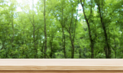 horizontal table with forest behind