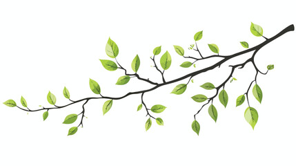 Obraz na płótnie Canvas Branch leaves stem bloom image flat vector isolated on